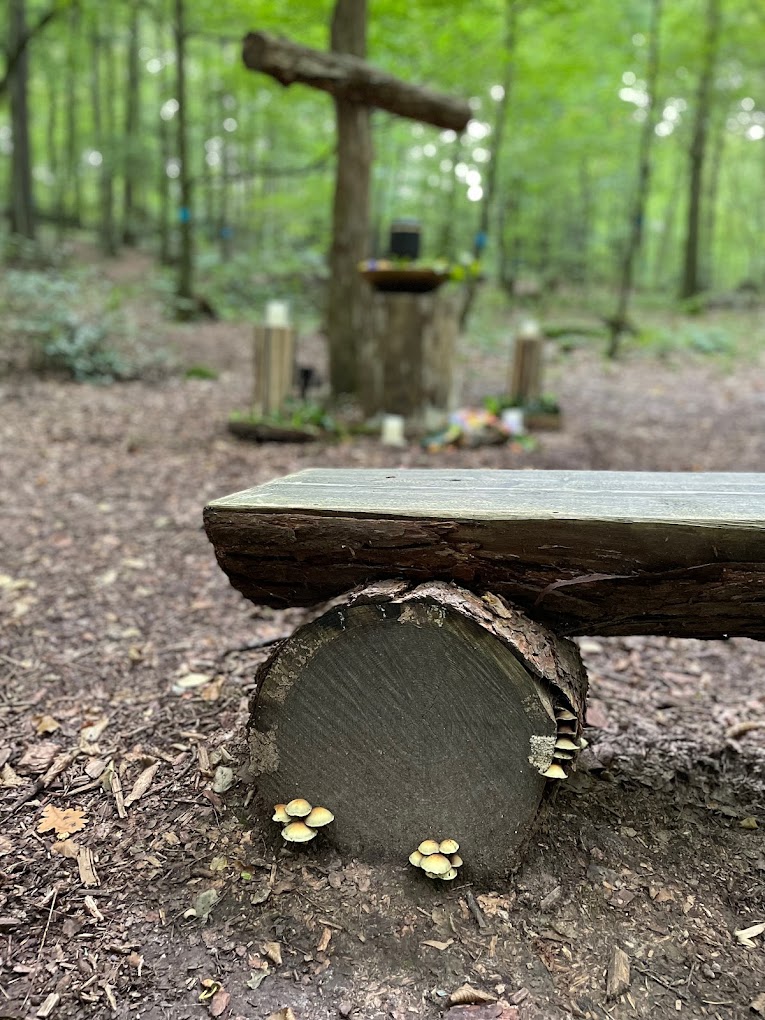 Eine Holzbank im Wald